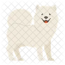 Samoyed Dog Puppy Icon