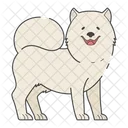 Samoyed Dog Puppy Icon