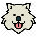 Samoyed Dog  Symbol