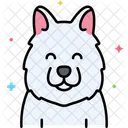 Samoyed dog  Icon