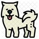 Samoyed  Symbol