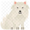 Samoyedo  Icono