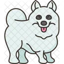 Samoyedo  Icono