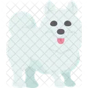 Samoyedo  Icono