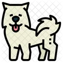 Samoyedo  Icono