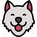 Samoyedo Mascotas Animales Icono