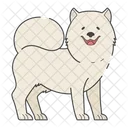 Samoyedo Perro Cachorro Icono