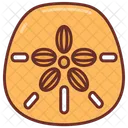 Sand Dollar Marine Animal Andaman Sea Icon