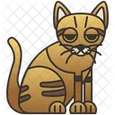 Sand  Icon