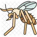 Sandfly Flies Insect Icon