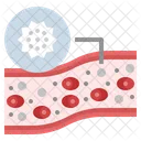 Sangue Branco Globulos Sanguineos Imunidade Ícone