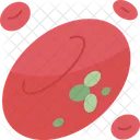Sangue  Ícone