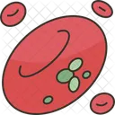 Sangue  Ícone