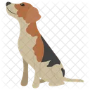 Hunderassen Hundearten Hund Symbol