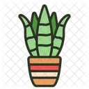 Sansevieria Green Leaf Icon