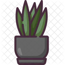 Sansevieria  Icono