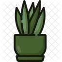 Sansevieria Plants Pot Icon
