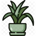 Sansevieria Plants Pot Icon