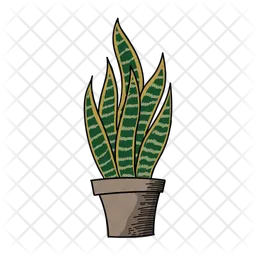 Sansevieria Cactus  Icon