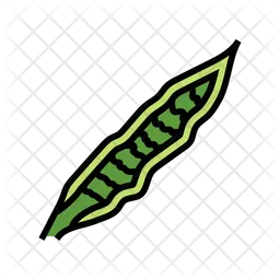 Sansevieria Leaf  Icon