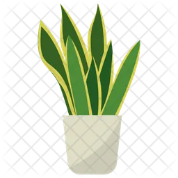 Planta en maceta Sansevieria  Icono