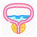 Prostate Sante Homme Icône