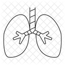 Sante Respiratoire Soins Des Sinus Soutien Pulmonaire Icône