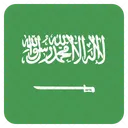 Arabie Saoudite Arabie Drapeau Icône