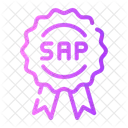 Software Sap Software Development Icon