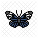 Sapho Longwing Insect Icon