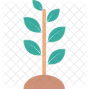 Sapling Plant Planting Icon