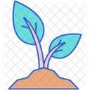 Sapling Plant Seeding Icon