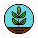 Sapling  Icon