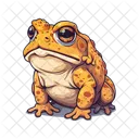 Sapo Anfibio Animal Ícone