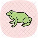 Sapo Anfibio Viscoso Ícone