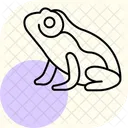 Sapo Anao Africano Sapo Anao Africano Animal De Estimacao Icon