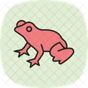 Perereca Anfibio Ícone