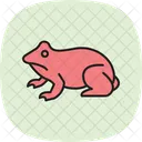 Sapo Cururu Sapo Cururu Anfibio Ícone