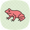 Sapo De Pa Sapo De Pa Anfibio Ícone