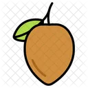 Sapodilla Fruit Healthy Icon