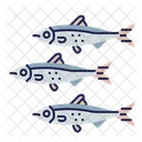 Sardine Fish Food Icon