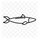 Sardine Fish Icon