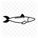 Sardine Fish Pilchards Sander Lucioperca Icon