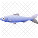 Sardine Fish Food Icon