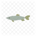 Sardine Poisson Petit Icône