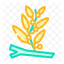 Sargassum  Icon