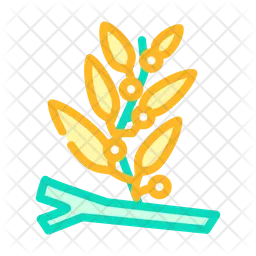 Sargassum  Icon
