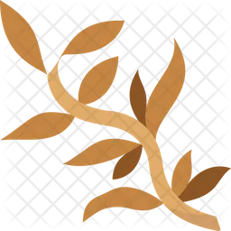 Sargassum  Icon