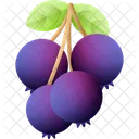 Berry Fruit Food Icon
