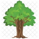 Sassafras Tree  Icon
